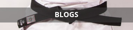 blog maestros rfejyda judo