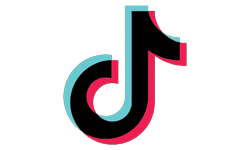 tiktok rfejyda judo